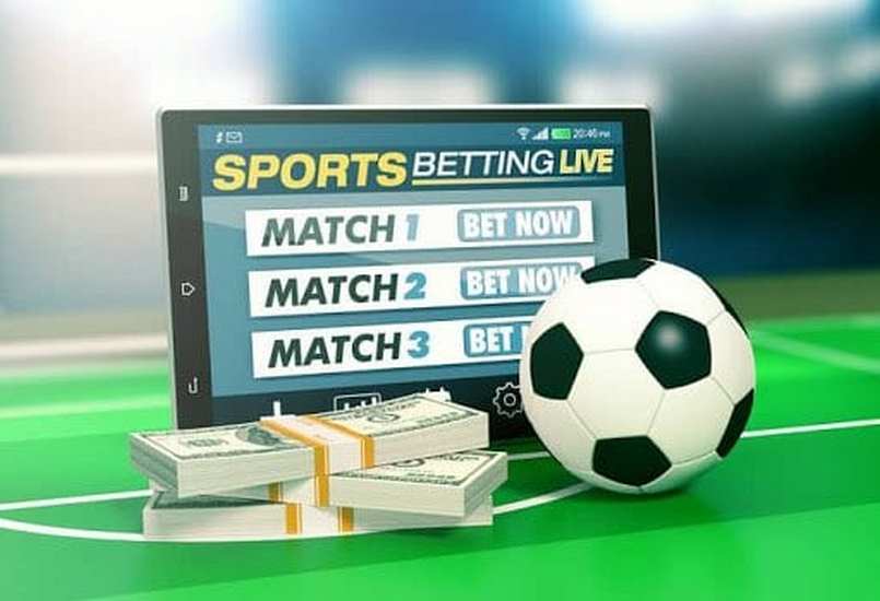 Trải nghiệm chất lượng khi tham gia cá cược tại Mot88 bet